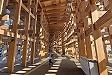 EXPO2025 Day!