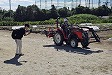 TikTok動画素材撮影会